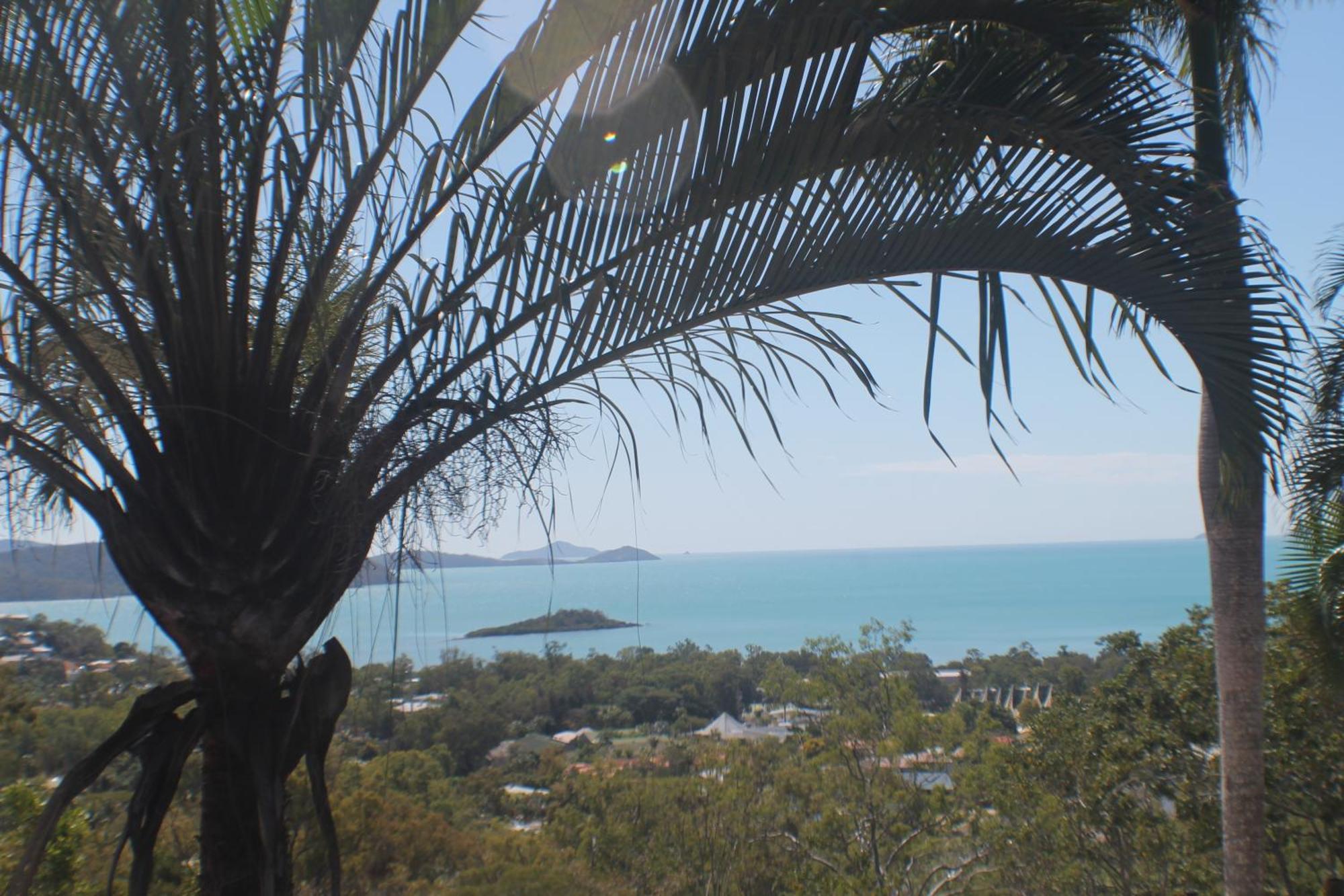 شاطئ إيرلي Yachtsmans Paradise, Whitsundays الغرفة الصورة